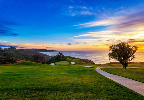 TorreyNorth-500x350